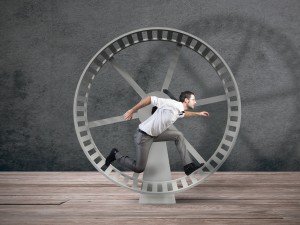 Netztag 2022 war wieder wieder ein voller Erfolg