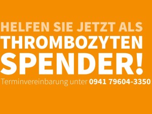 Kleine Zelle&ndash;gro&szlig;e Wirkung